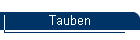 Tauben